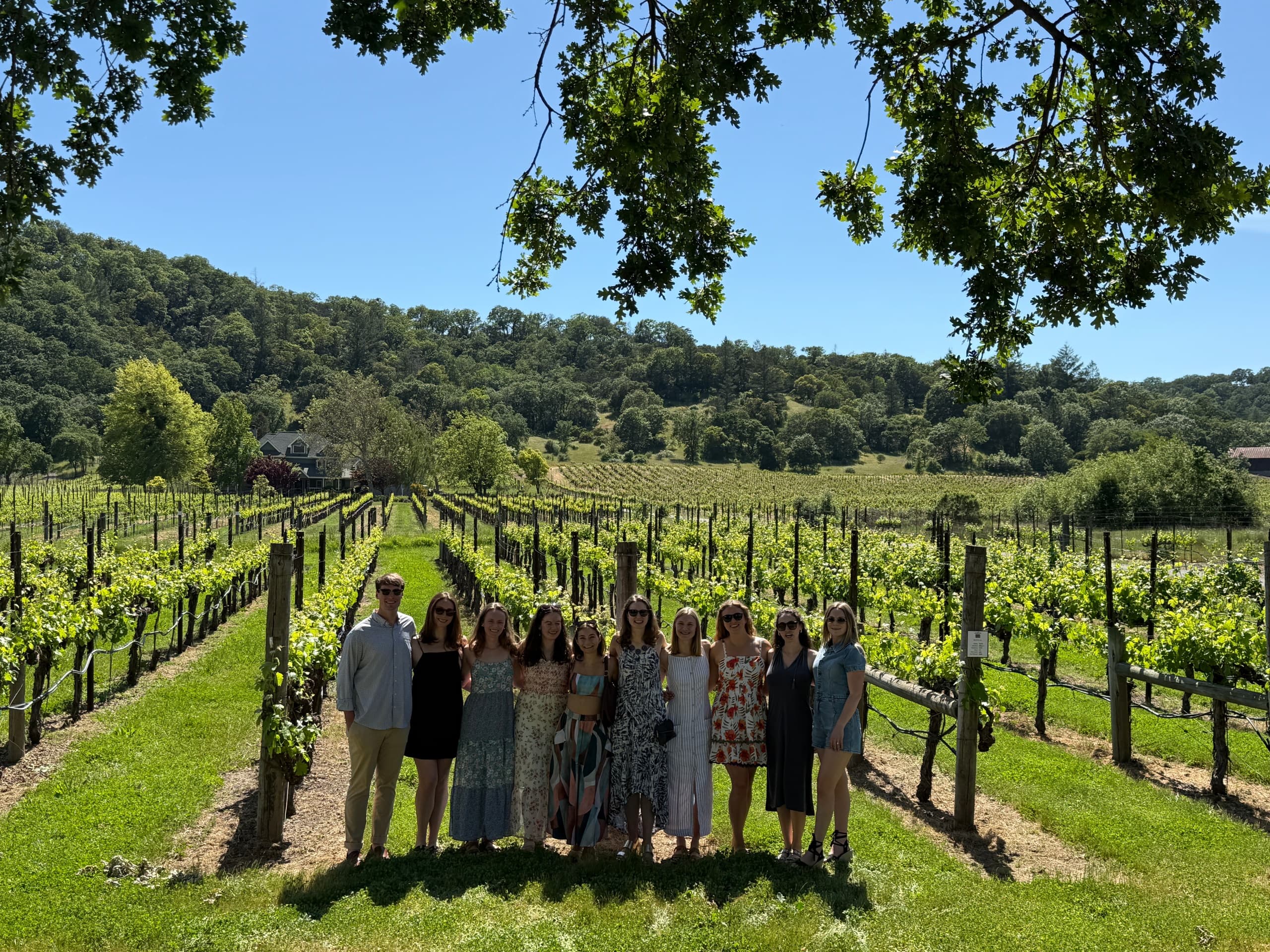 Half Day Wine Tasting with Sonoma Wine Rides