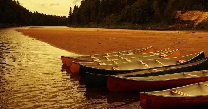 Canoes lined on a sandy riverbank at sunset for calm paddling