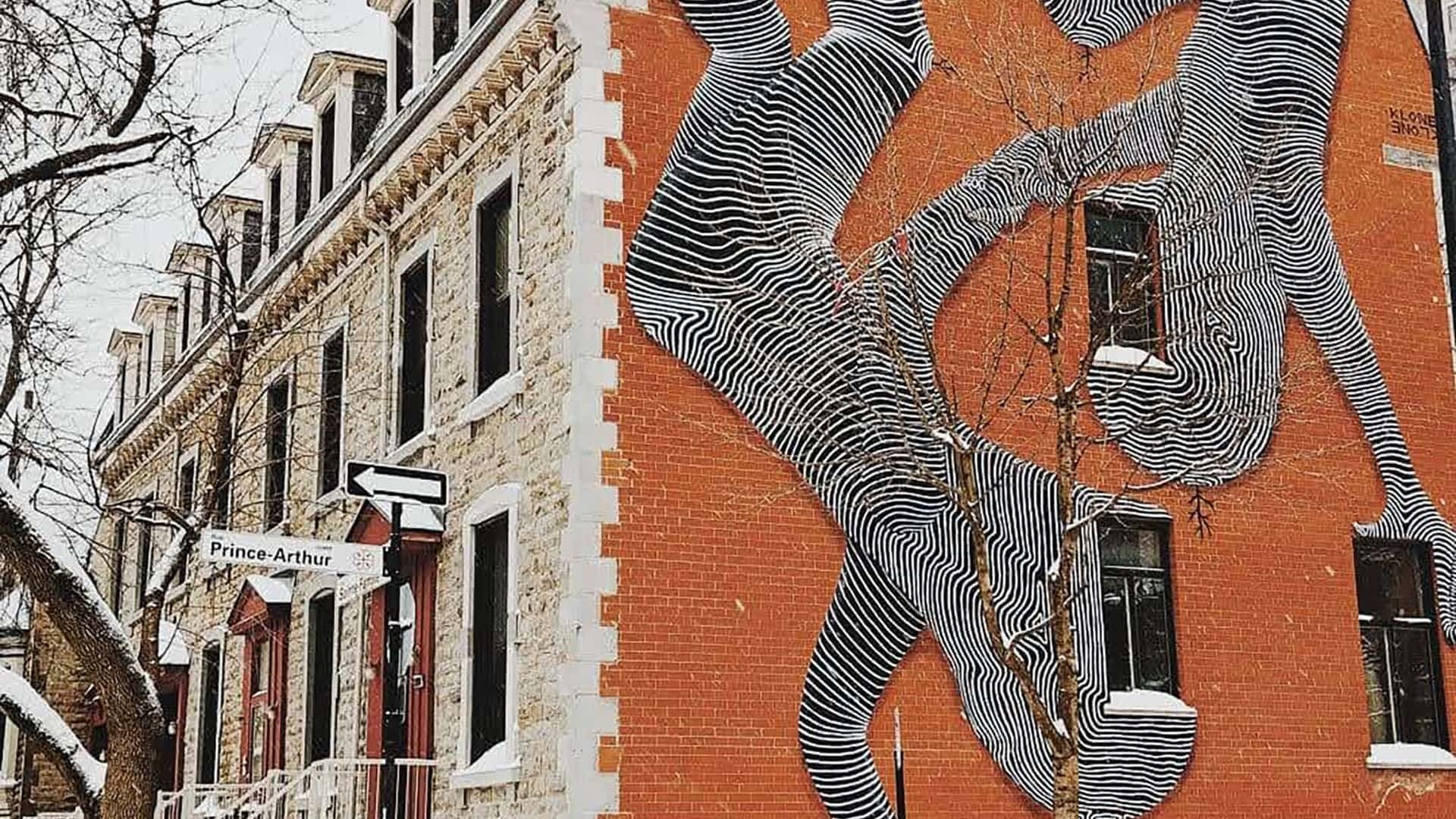 Private Montreal Street Art & Murals Walking Tour: Laneways & Local Guides photo 4