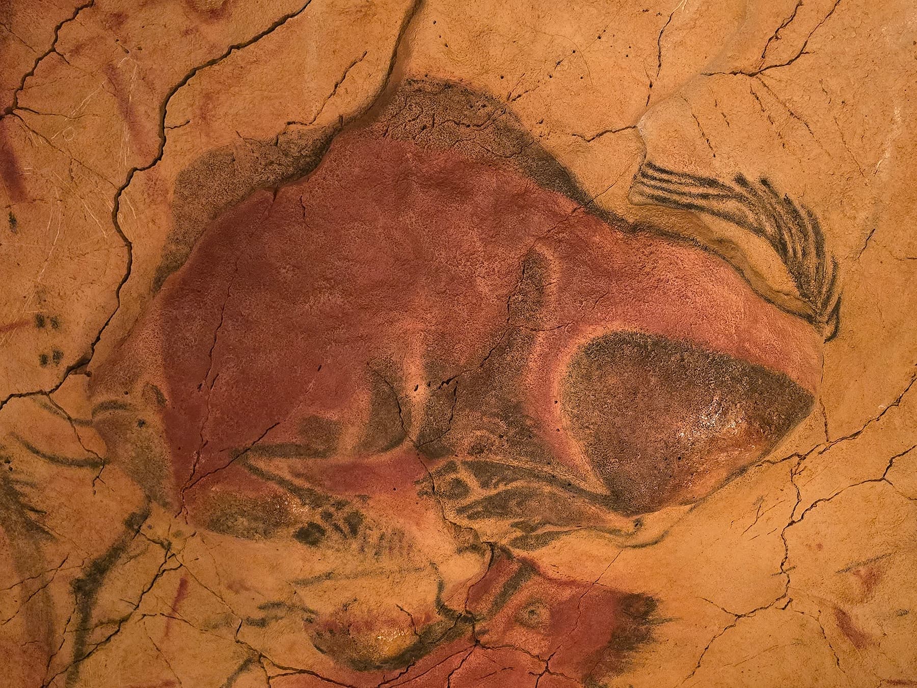 Private Altamira Neocave Tour: Skip the Lines at the Altamira Replica in Santillana del Mar