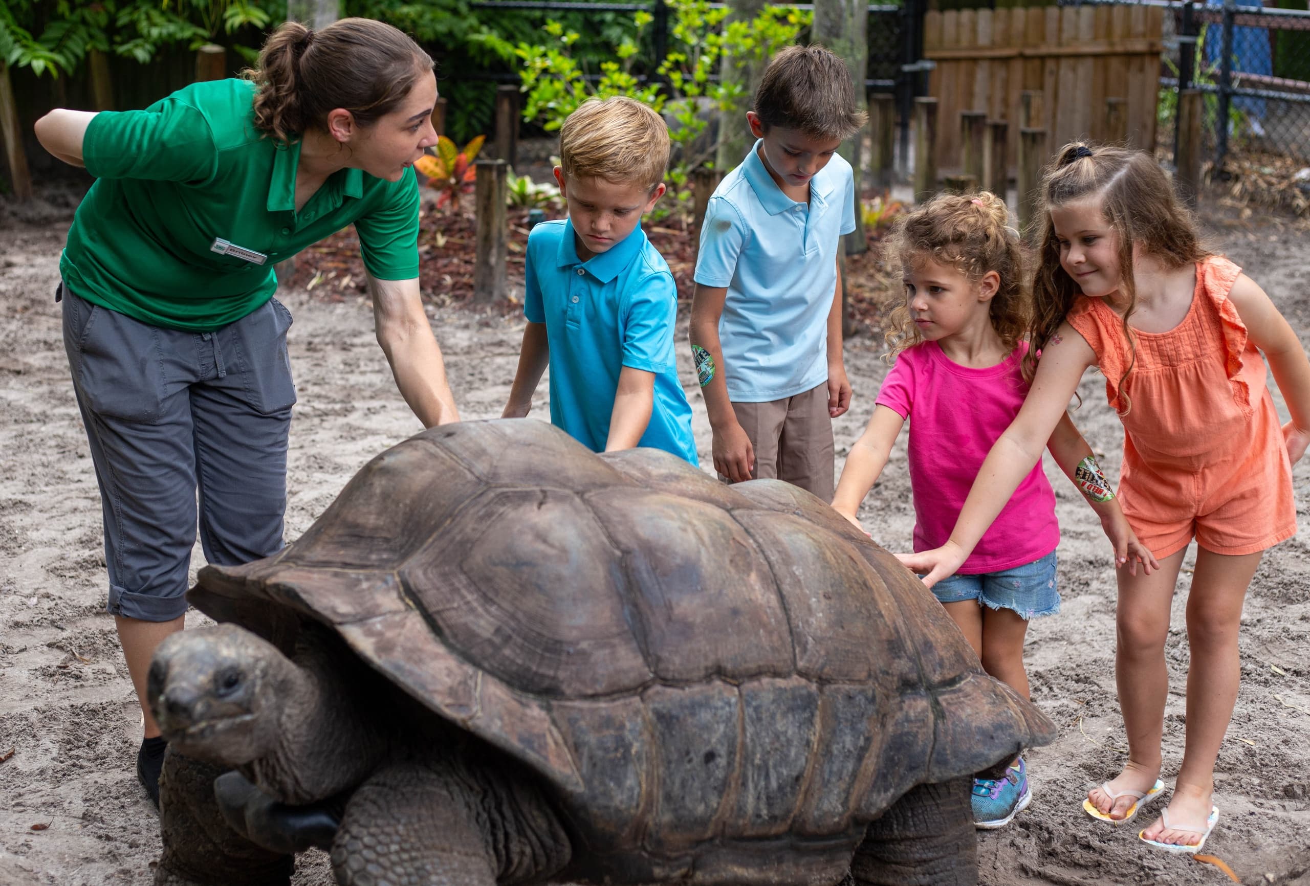 Children interacting with giant tortoise on outdoor nature trail in Florida