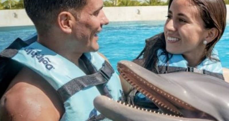 Couple interacting with dolphin during coastal swim excursion