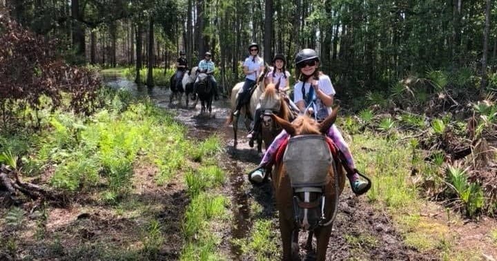 Sorrento Horseback Trail Ride: 2-Hour Guided Tours Through Central Florida Live Oaks