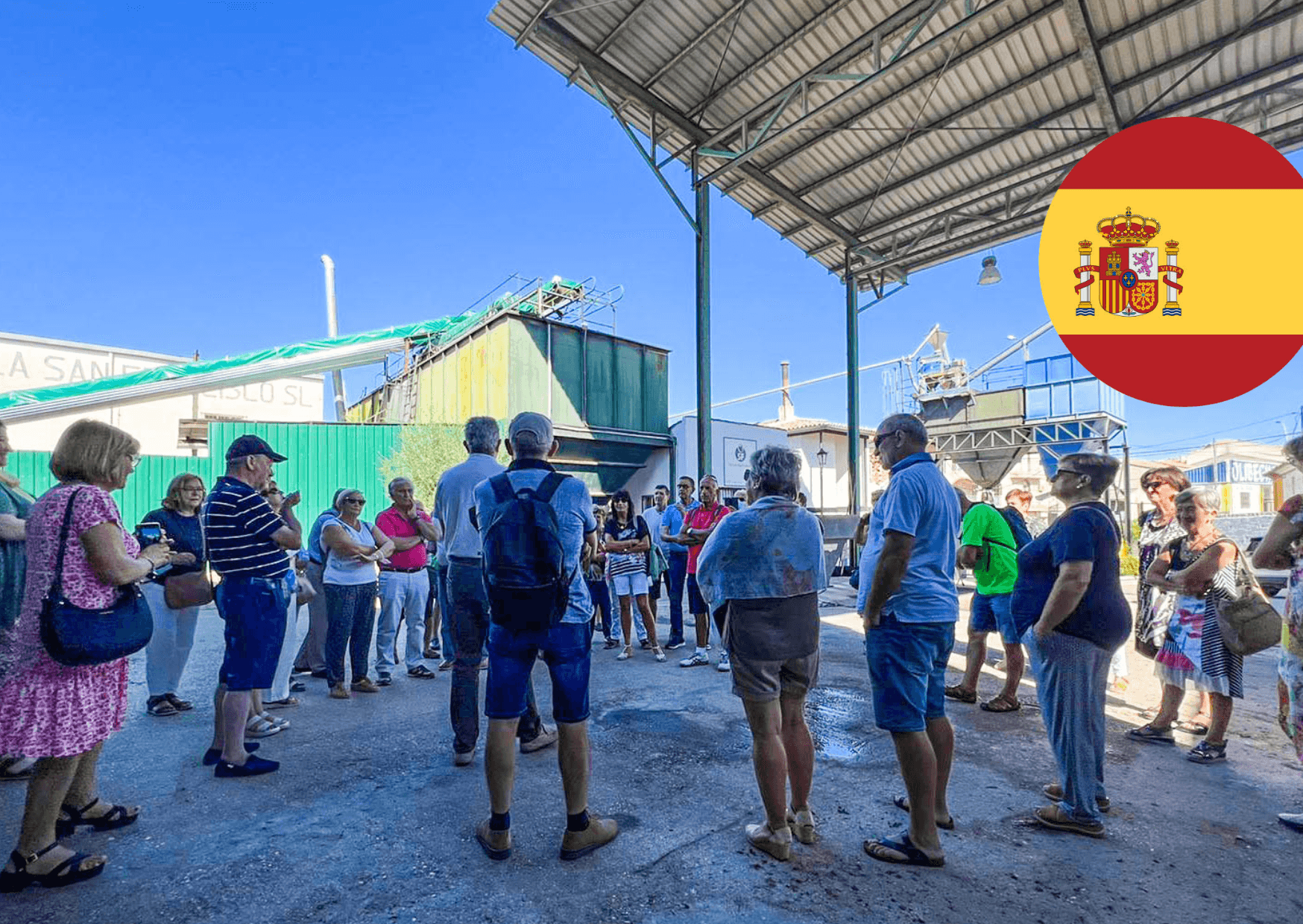 Taste the Olive: Guided Almazara & Olive Grove Tour in Begíjar, Jaén