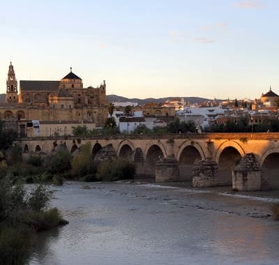 Córdoba & Mezquita Day Trip from Málaga with Discovering Spain