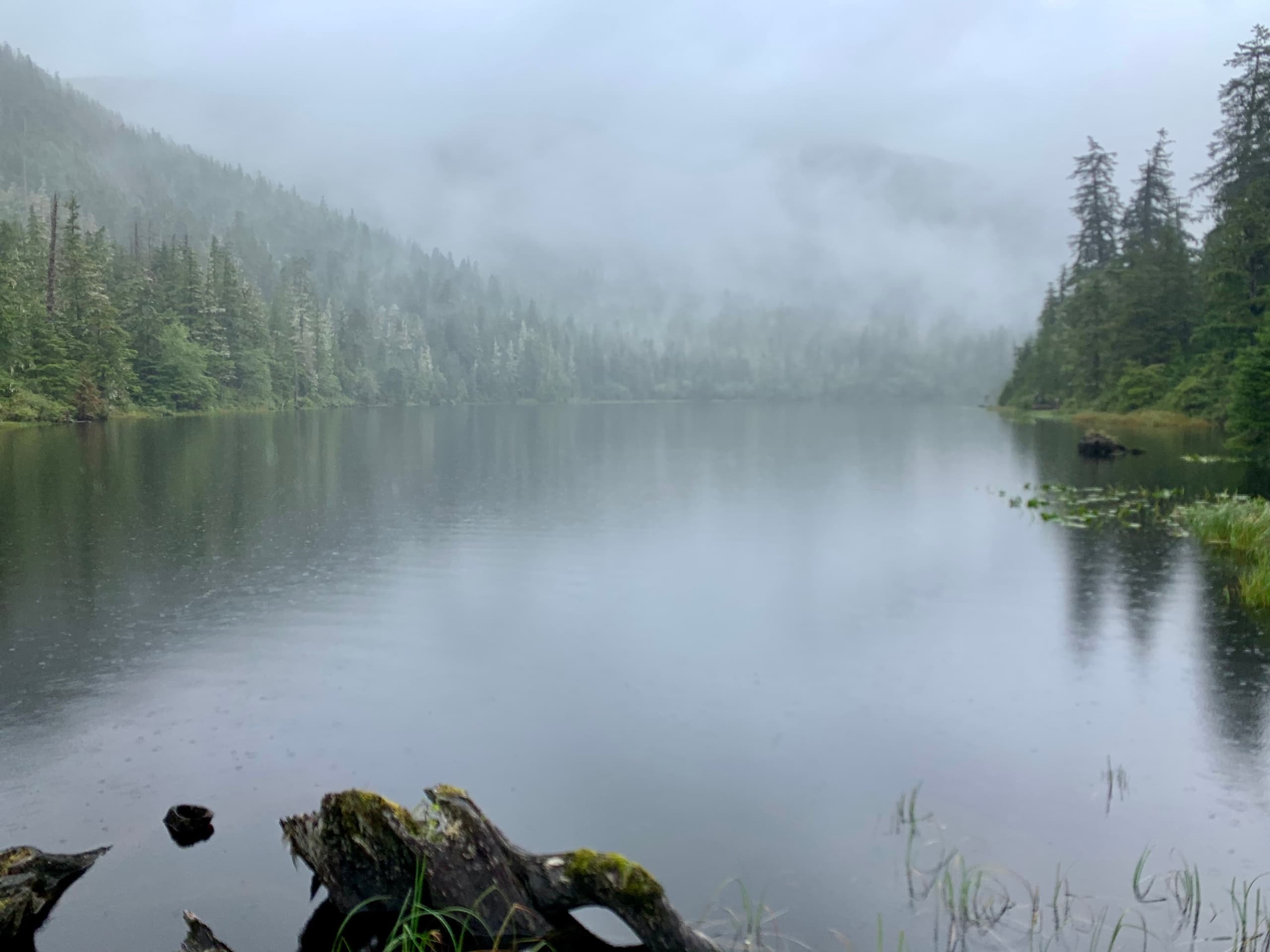 Misty lake view with evergreen shore during forest hike