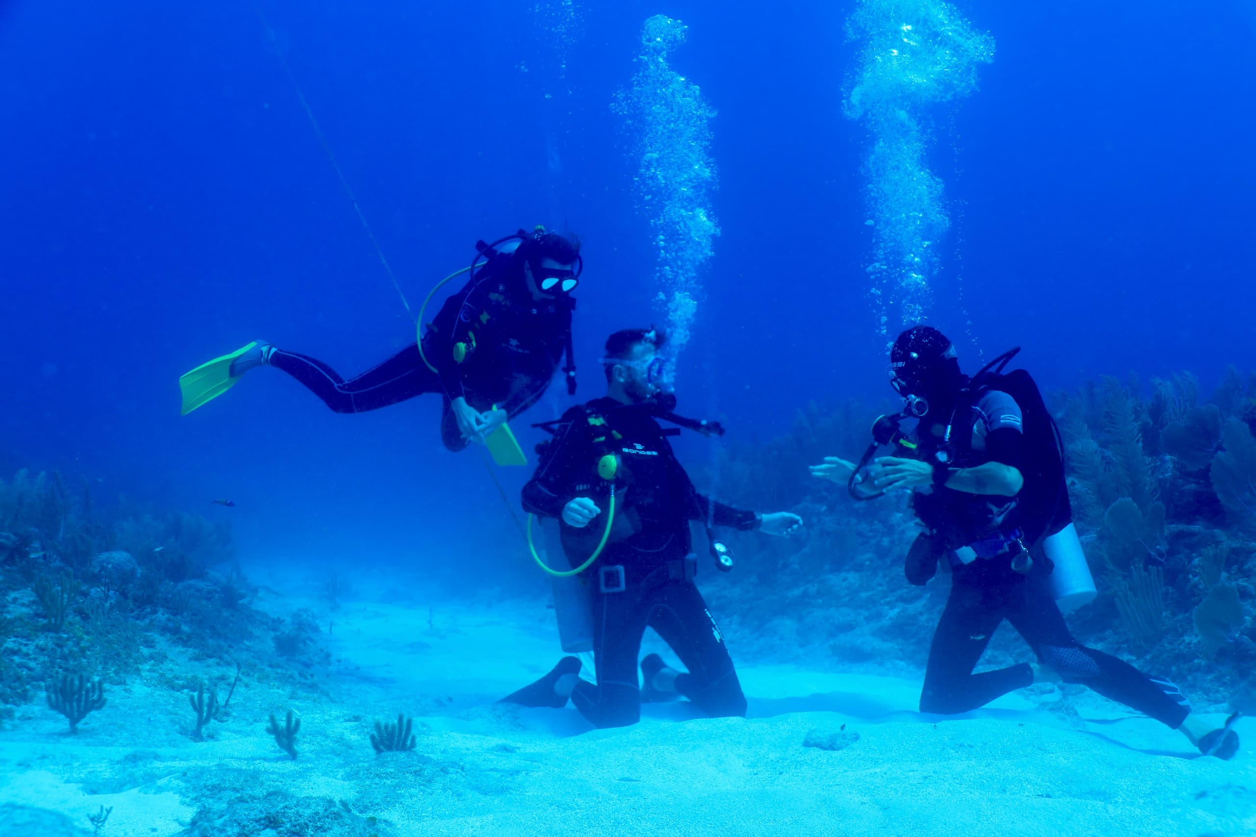 Finish Your PADI Open Water Certification in Tulum — Mexidivers One-Day Referral