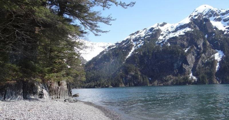 Water Taxi Adventures with Miller's Landing in Seward, Alaska