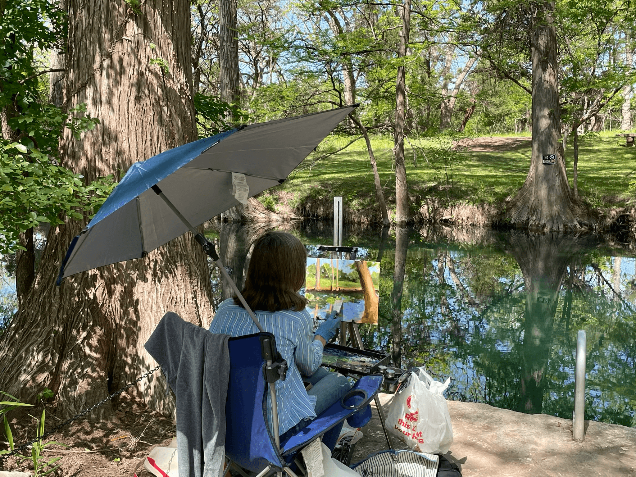 Painting with Parks: Artistic Adventures in Wimberley, TX