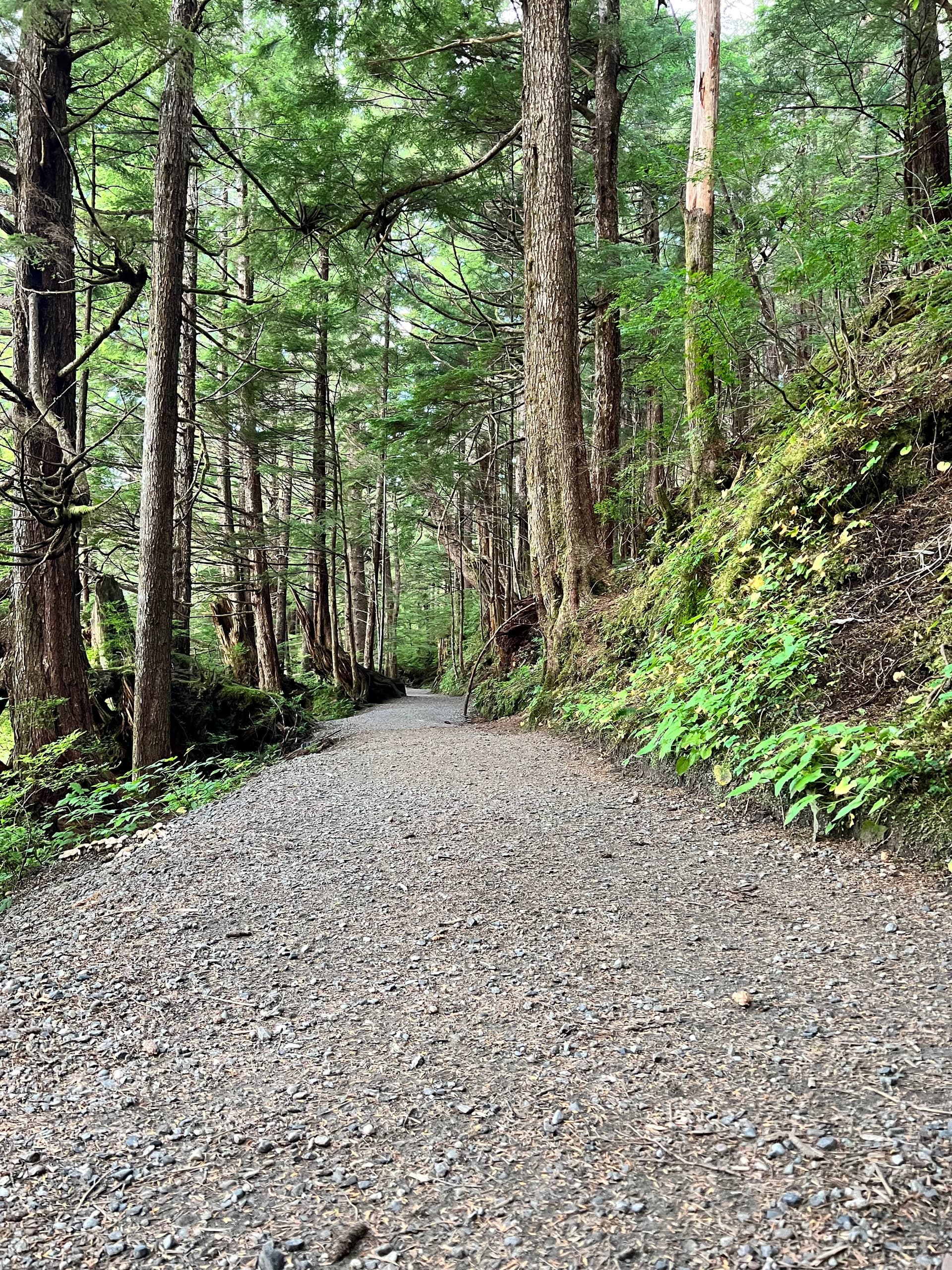 Ward Creek Trail Hike with Island Girl Hiking Company in Ketchikan