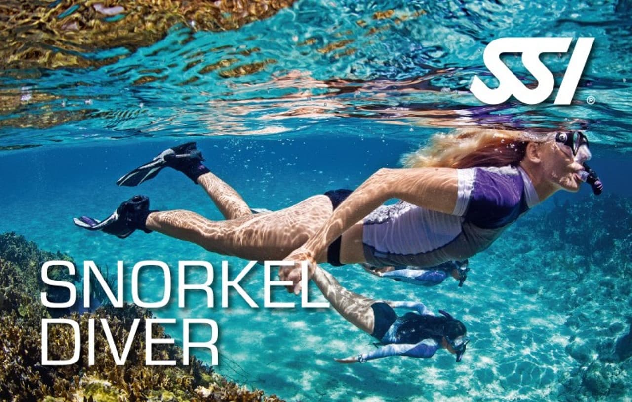 Private Snorkeling at Bamboo Reef in San Francisco