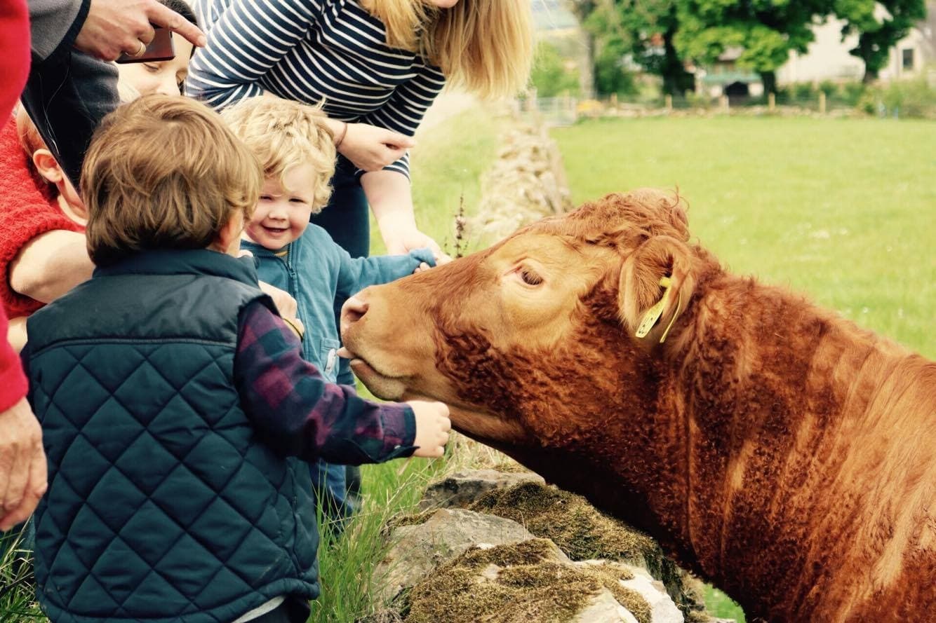 Muddy Explorers Spring — Hands-On Homeschool Farm Sessions in Inverarity, Scotland photo 4