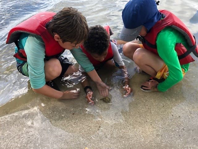 ELC Spring Break Camp: Indian River Lagoon Eco-Adventure for Kids in Vero Beach photo 1