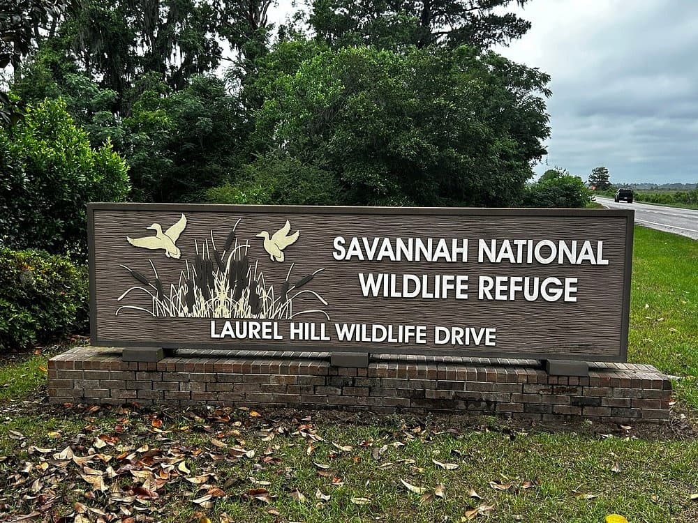 Winter Birding and Salt-Marsh Discovery: Savannah Wildlife Refuge Van Tour from Hilton Head Island