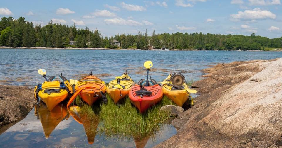 Water Activities with Midcoast Kayak: Bayside Paddling Adventure