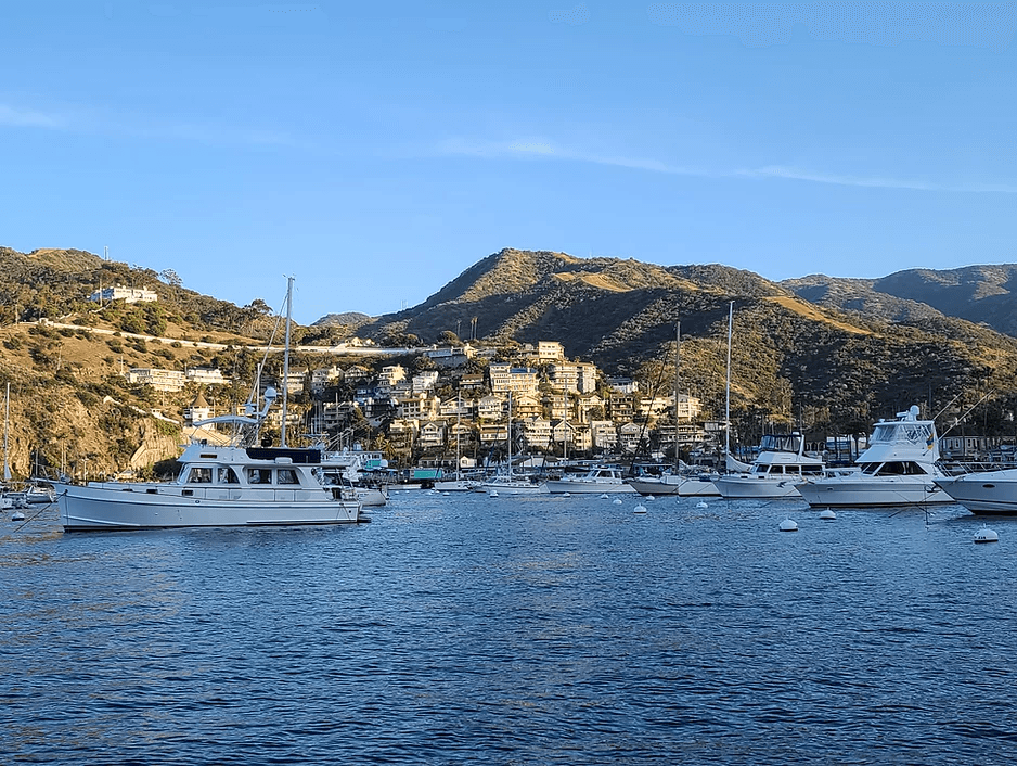 Sailing to Catalina Island with Sterling Sails