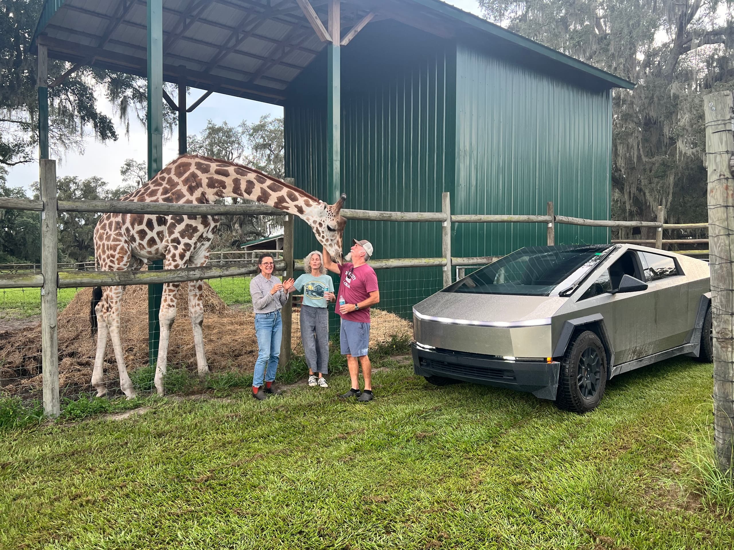 Giraffe Ranch fleet