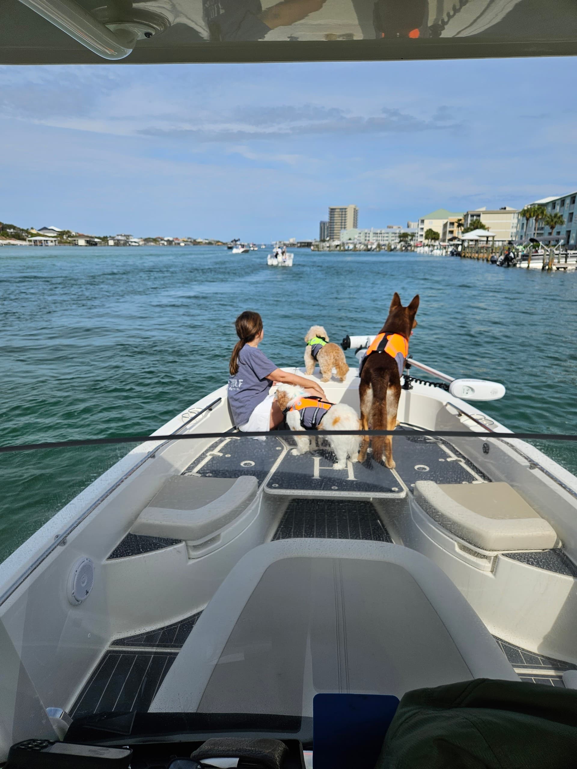 Sea Chelles Leisure Cruises: Private Sandbar & Sunset Cruises in Orange Beach photo 3
