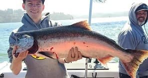 Salmon Bay Salmon Charter: Calm Chinook & Coho Fishing in Winchester Bay
