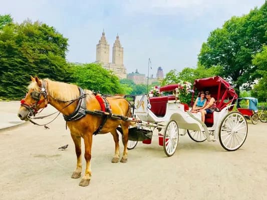 Land Adventures: Classic Horse Carriage Ride in Central Park