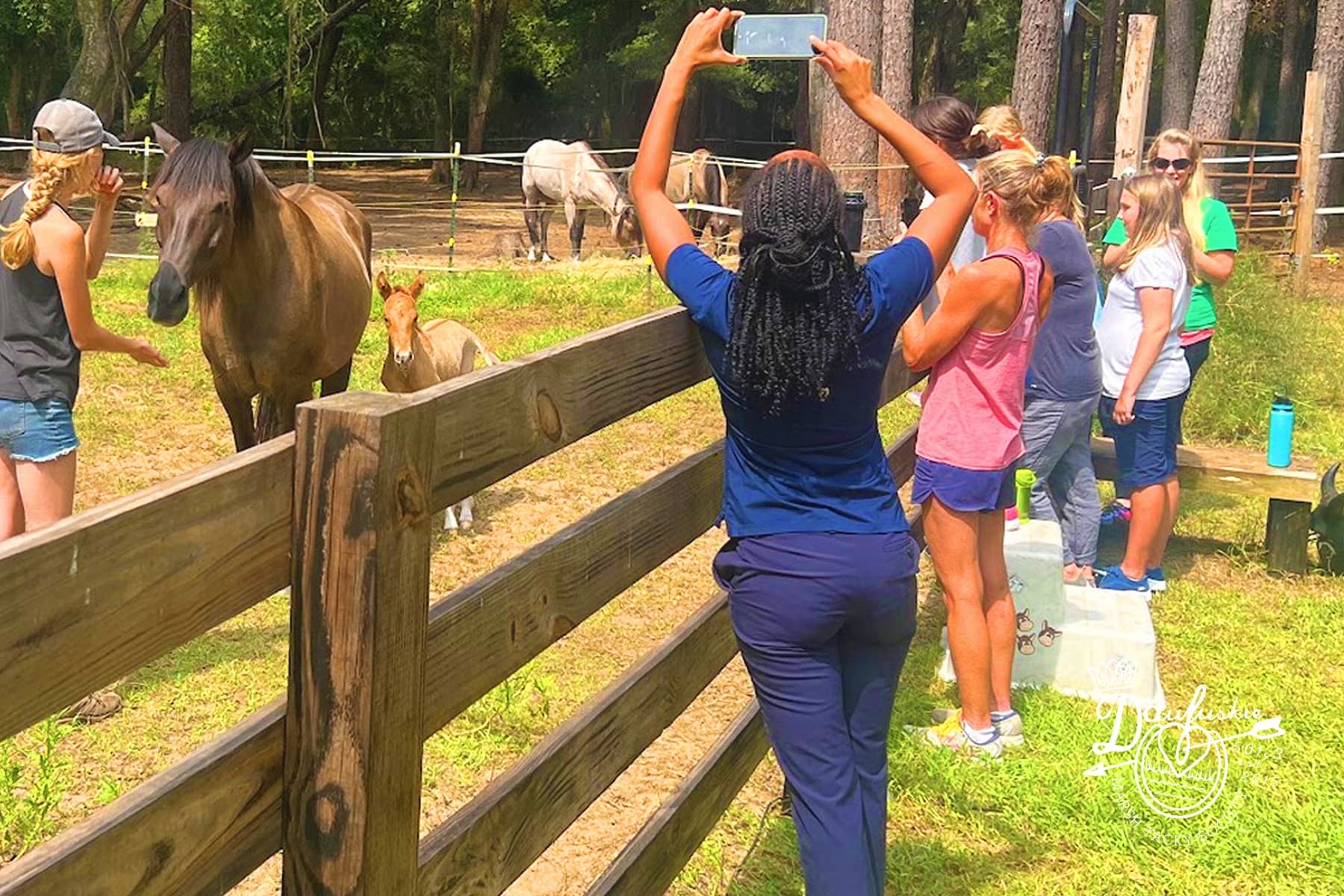 Visitors photographing horses over wooden fence at ranch