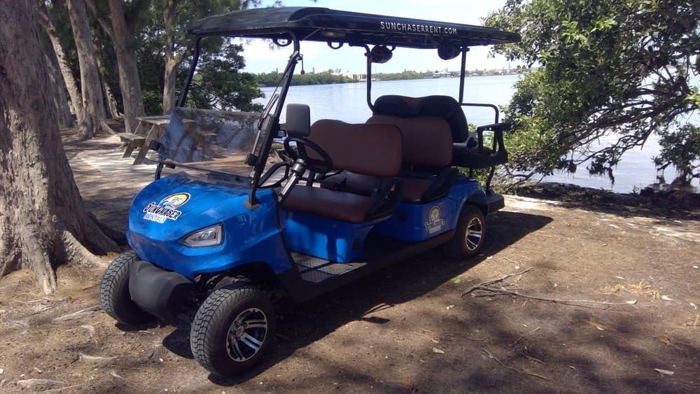Blue multi-passenger golf cart parked under trees by shoreline