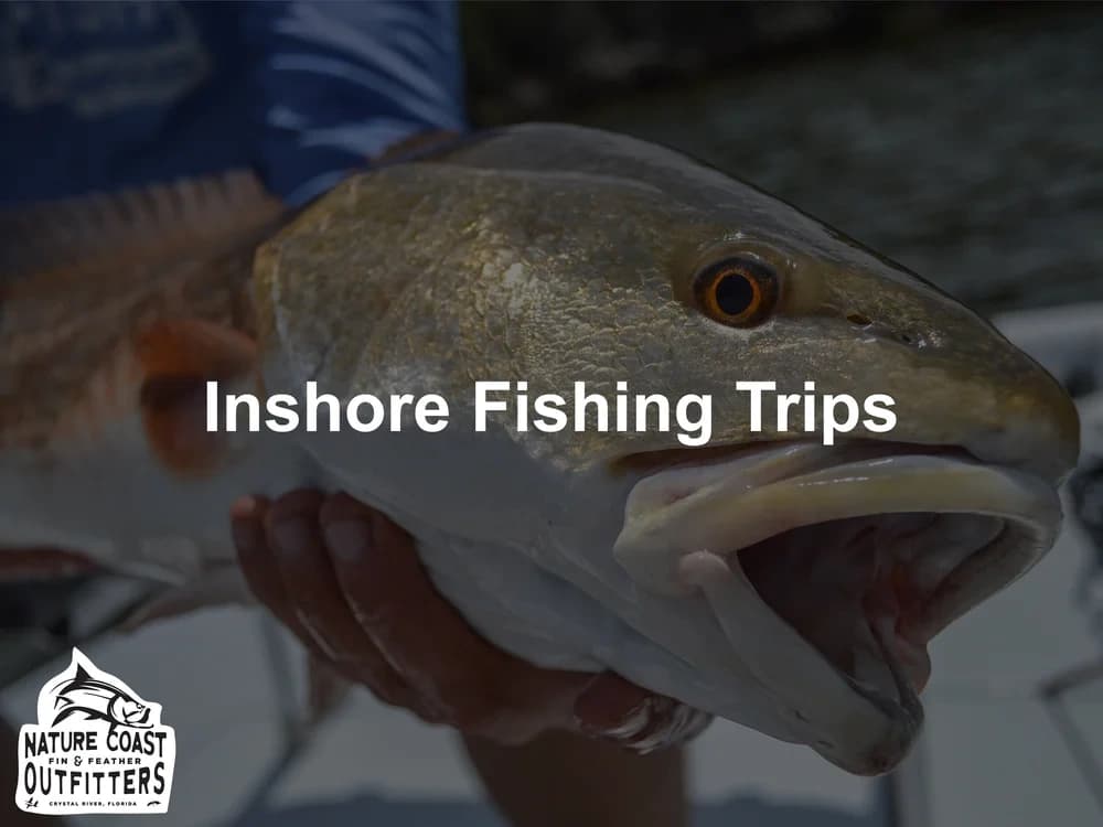 Sight-Casting the Flats: Inshore Half Day Fishing in Crystal River