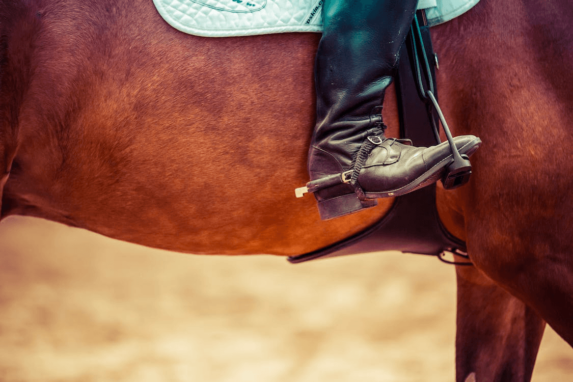 Horseback Riding Adventure in Almont, Colorado