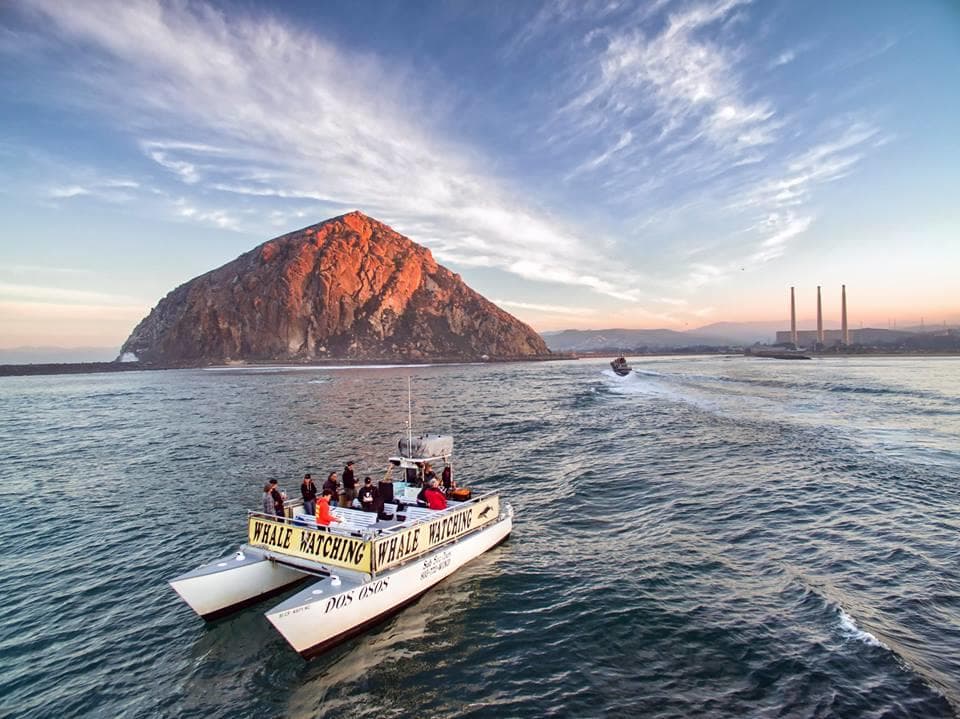 Whale watching boat cruising past Morro Rock at sunset