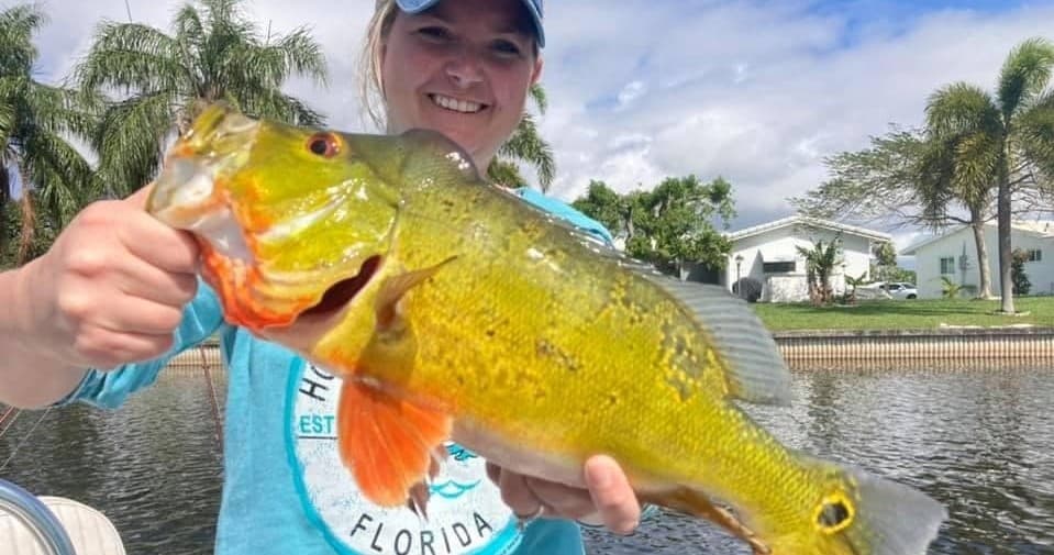Angler holding large peacock bass by Florida canal