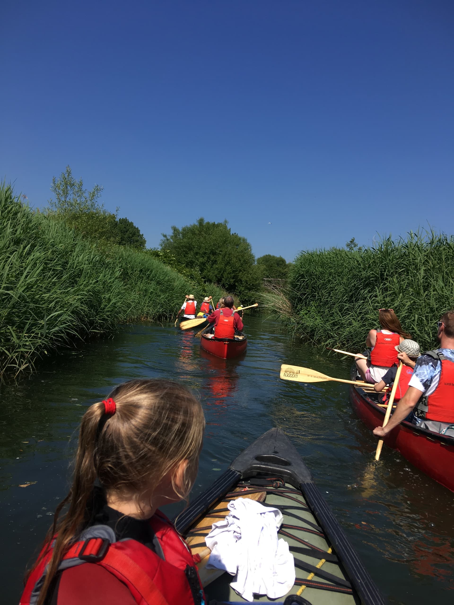 Group canoeing through reed-lined river in rural estuary