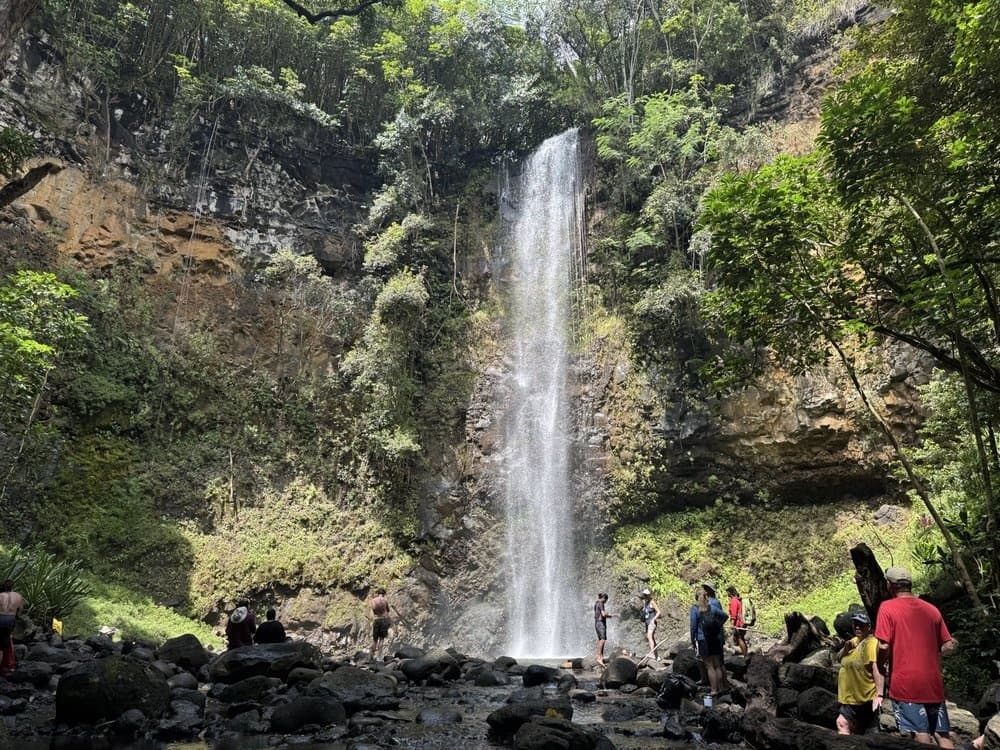 paddle-kauai-rivers-multi-day-kayak-rentals-to-secret-falls photo 2