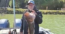 Winter Steelhead on the Umpqua: Long Leader Rockfish Guided River Charters