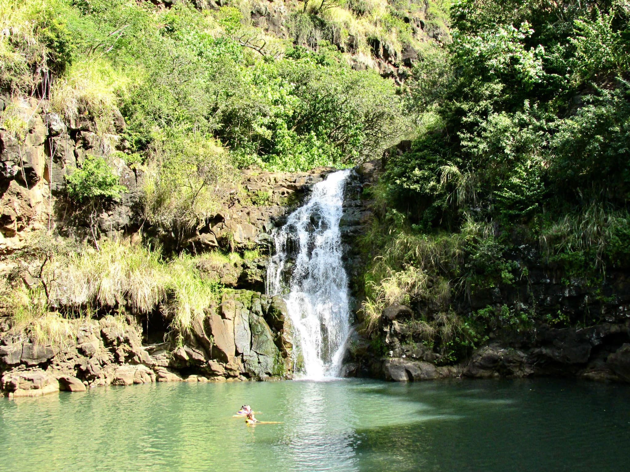 Swimmer at secluded waterfall pool in lush tropical canyon