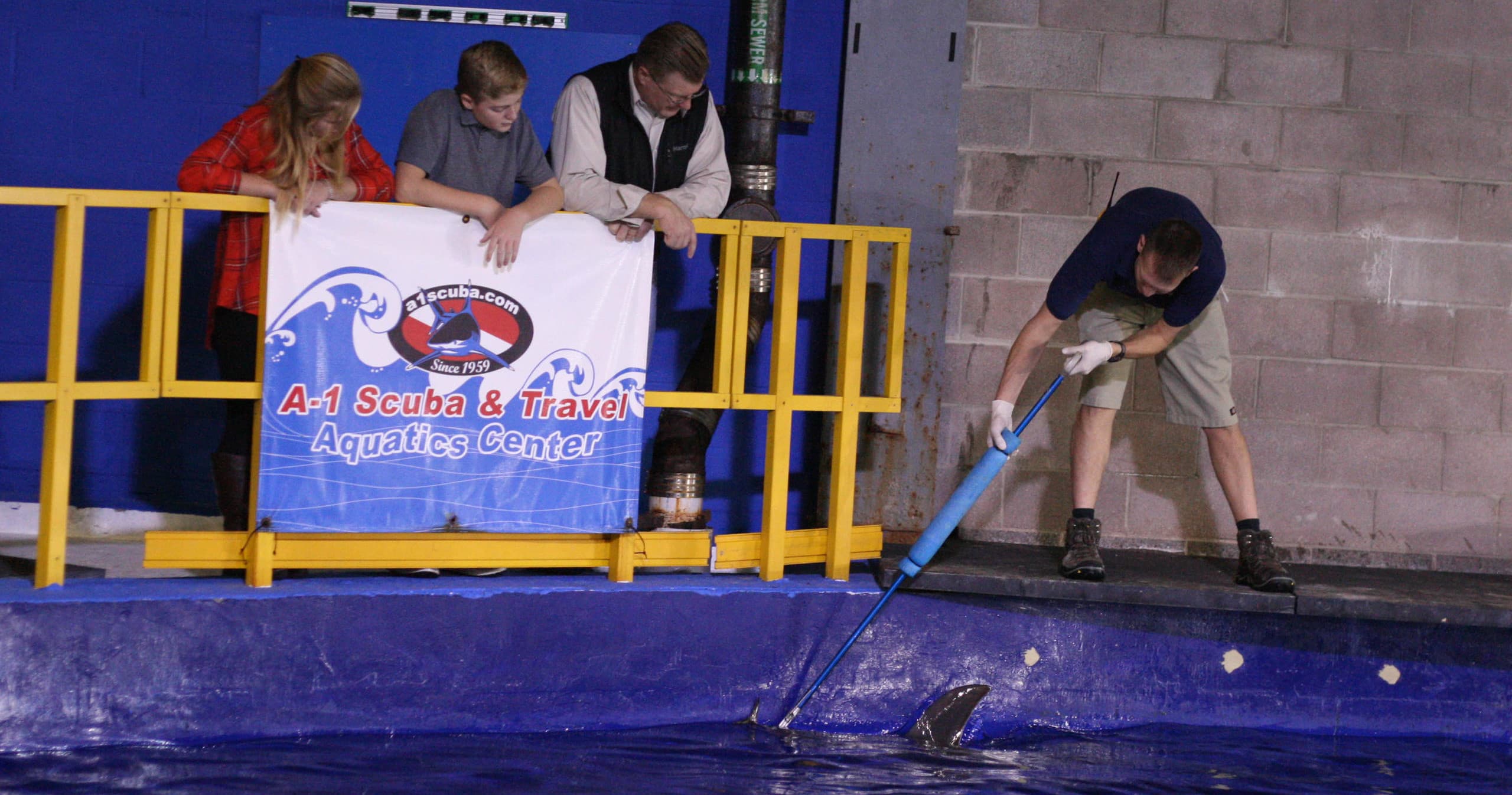 Shark Feeding Adventure at Downtown Aquarium - Denver photo 1