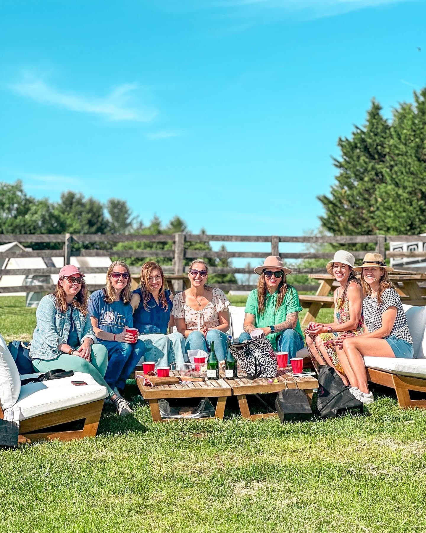 Happy Hour Hangout: Adults-Only Alpaca Pasture in Finksburg, MD
