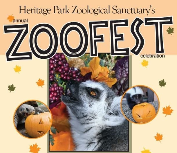 Wildlife & Family Fun at Heritage Park Zoo in Fall