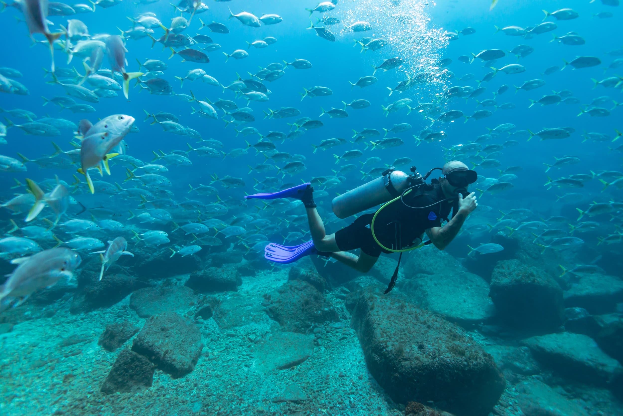 Discover Scuba Diving in Cabo: Intro Course to El Arco, Sea Lions & Reefs