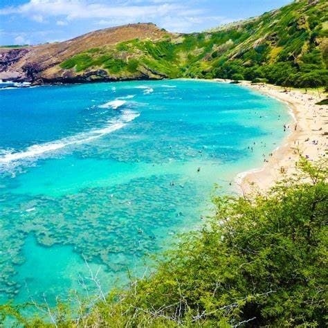 Private Group Land Adventure Tours in Honolulu, Hawaii