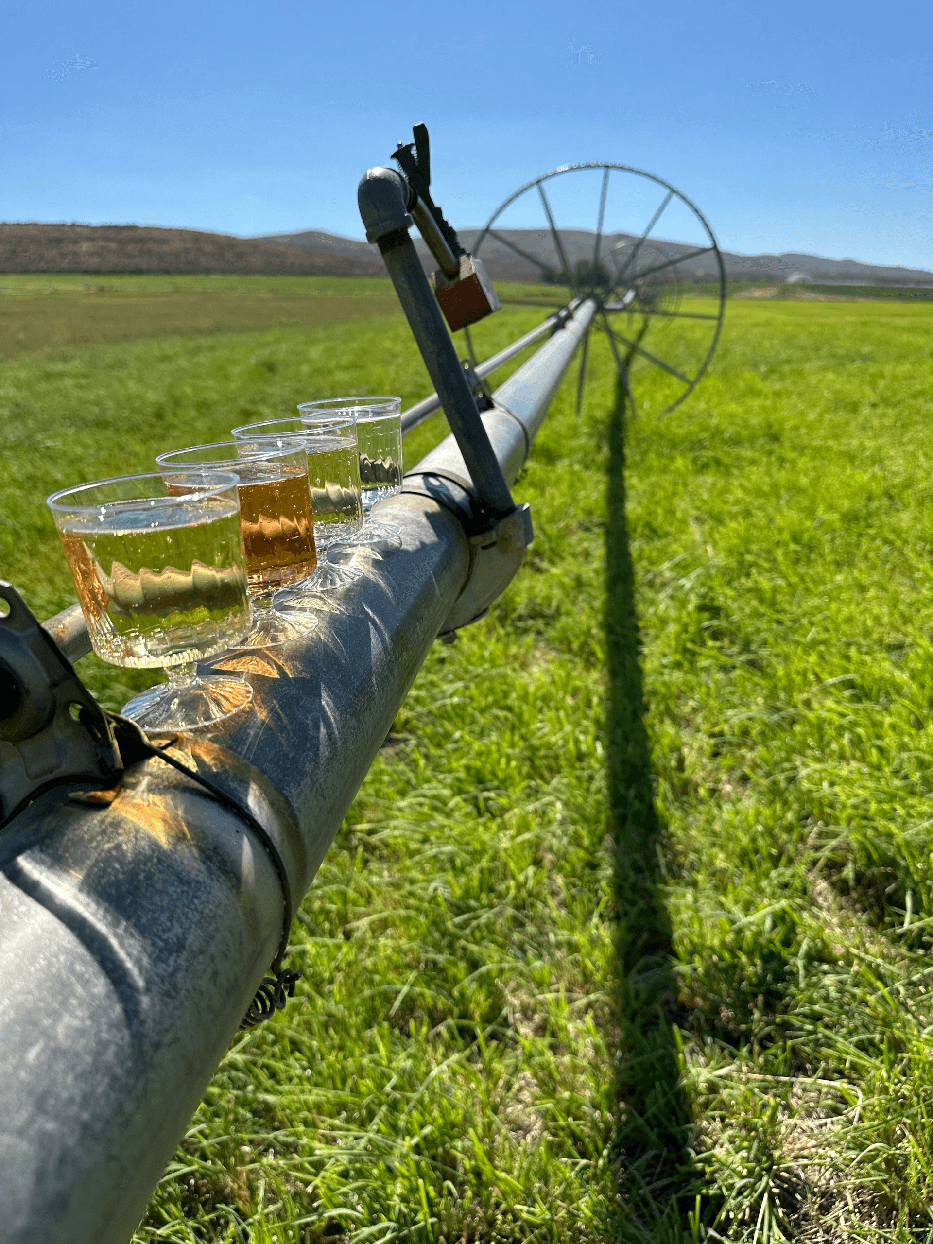 Walking Farm Tour: Orchard Walk & Cider-Making Demo in Ellensburg