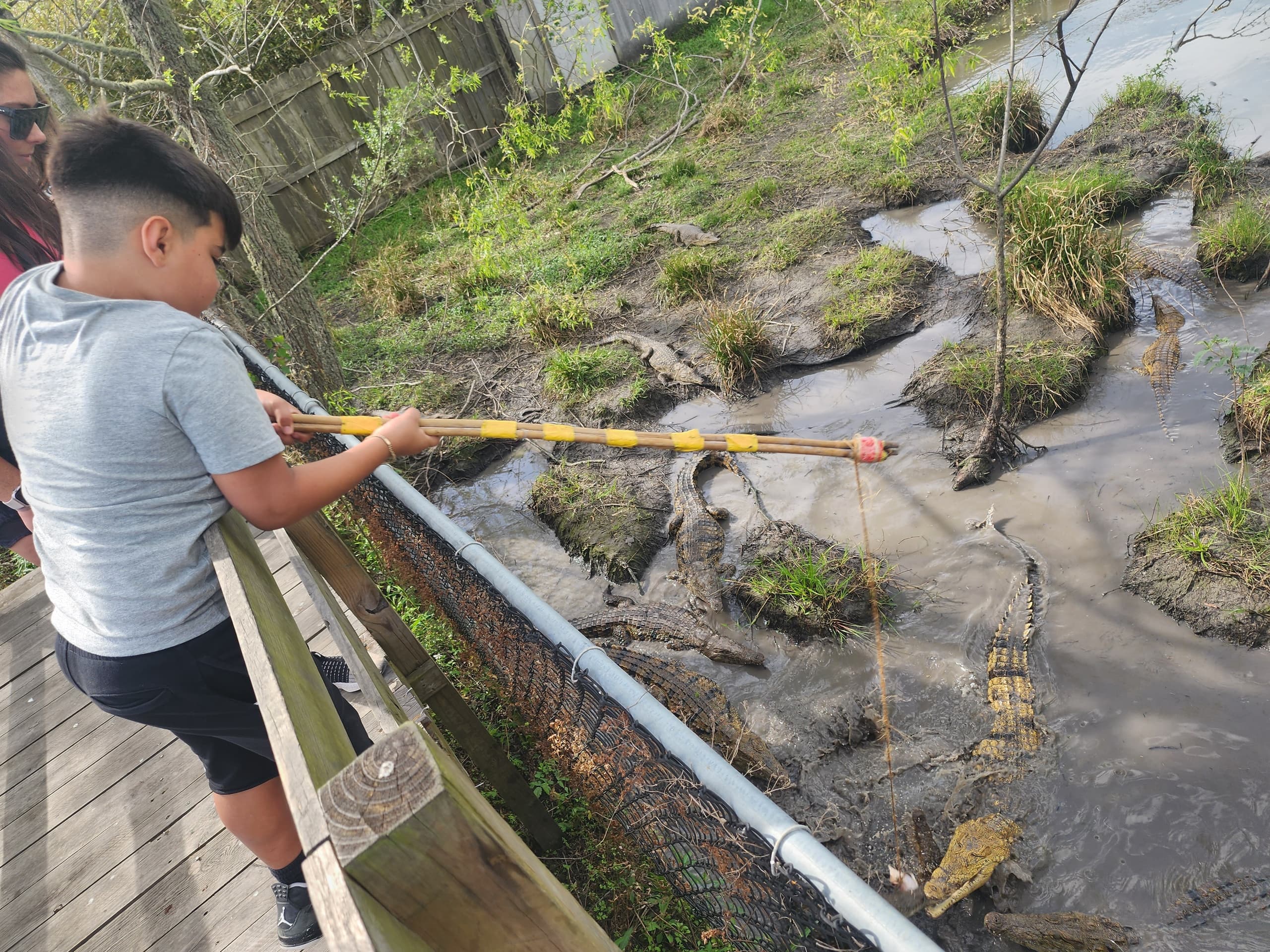 Fishing for Crocs Adventure with Crocodile Encounter TX