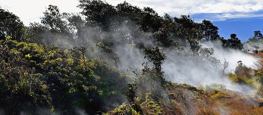 Hawaii Volcanoes Adventure with Aloha Sunshine Tours