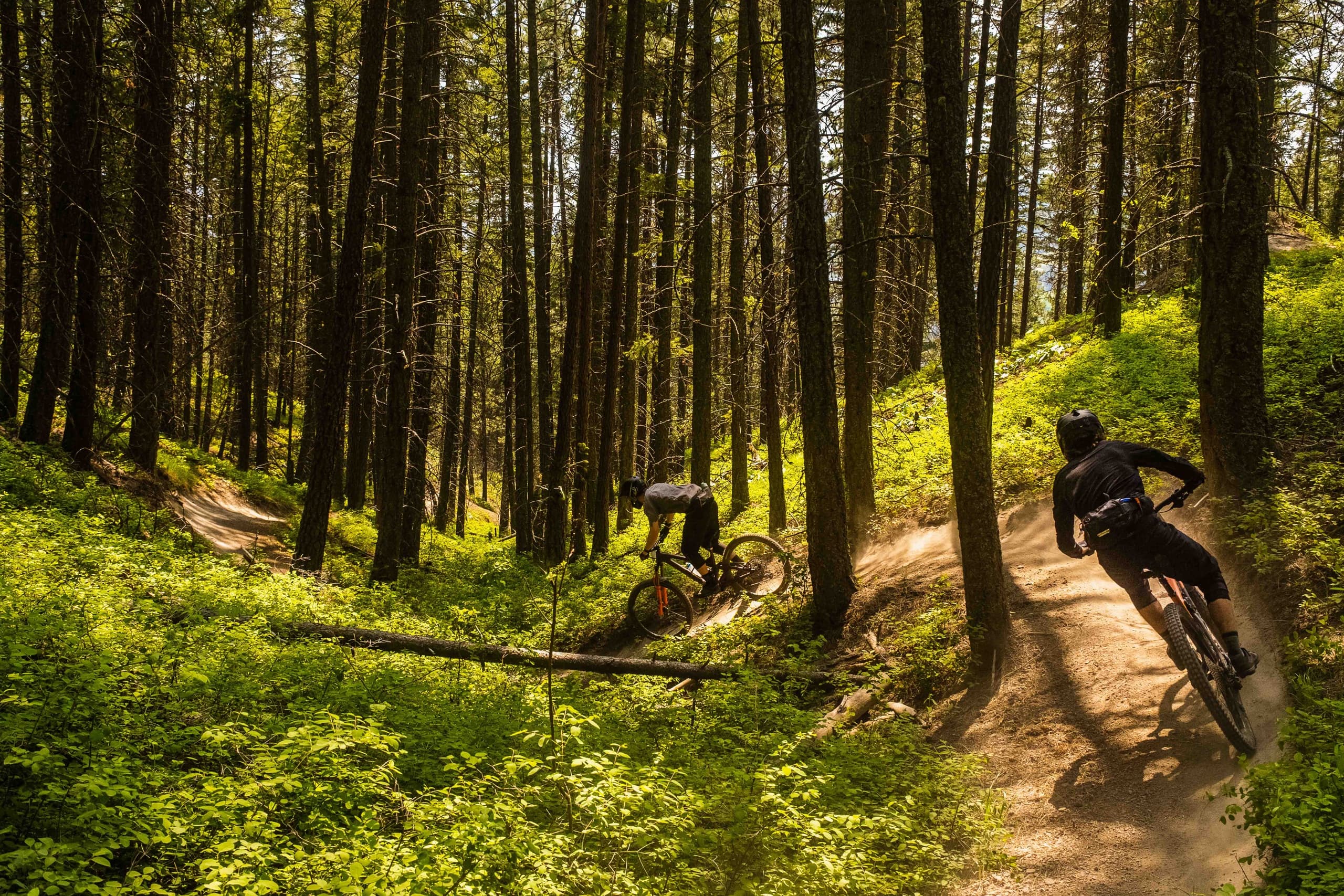 Smith Creek Flow & Tech: Guided Mountain Biking in West Kelowna’s Okanagan Singletrack photo 1