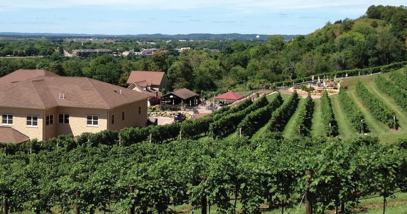 Wide vineyard rows and tasting patio at Wollersheim Winery