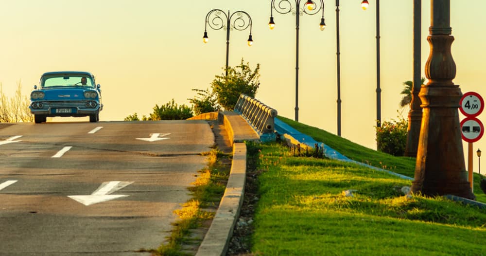 Classic car cruising a tree-lined scenic coastal boulevard