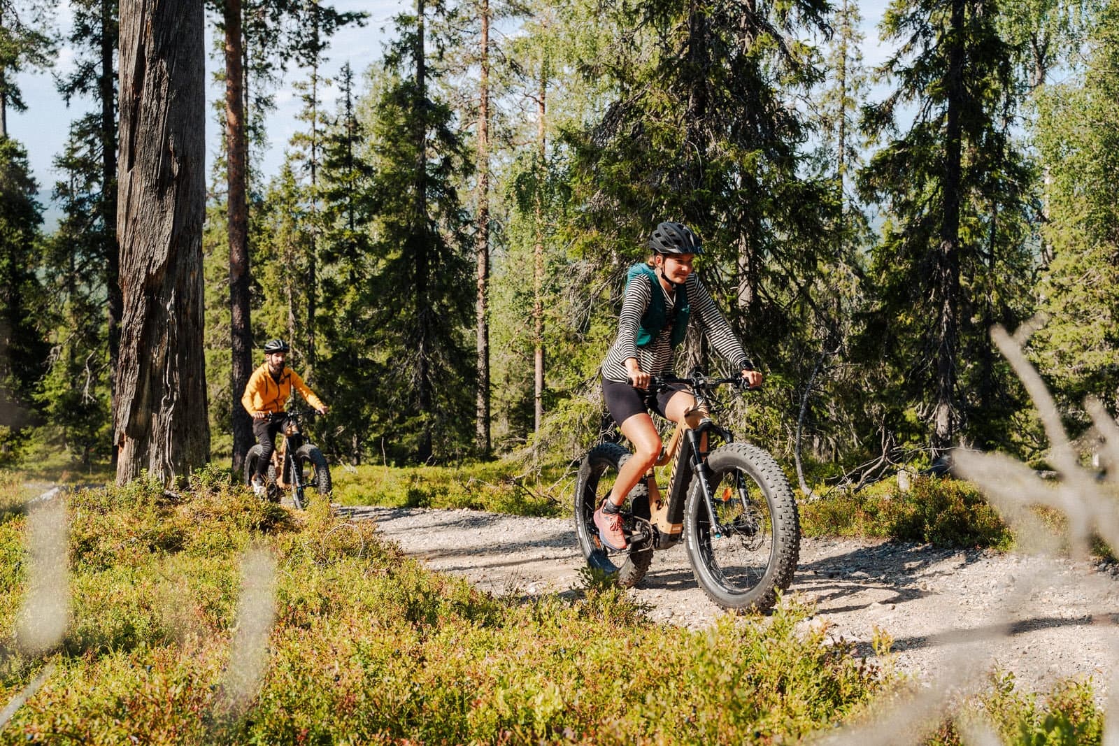 Land Adventures with Pyha Safaris in Pyhä-Luosto National Park