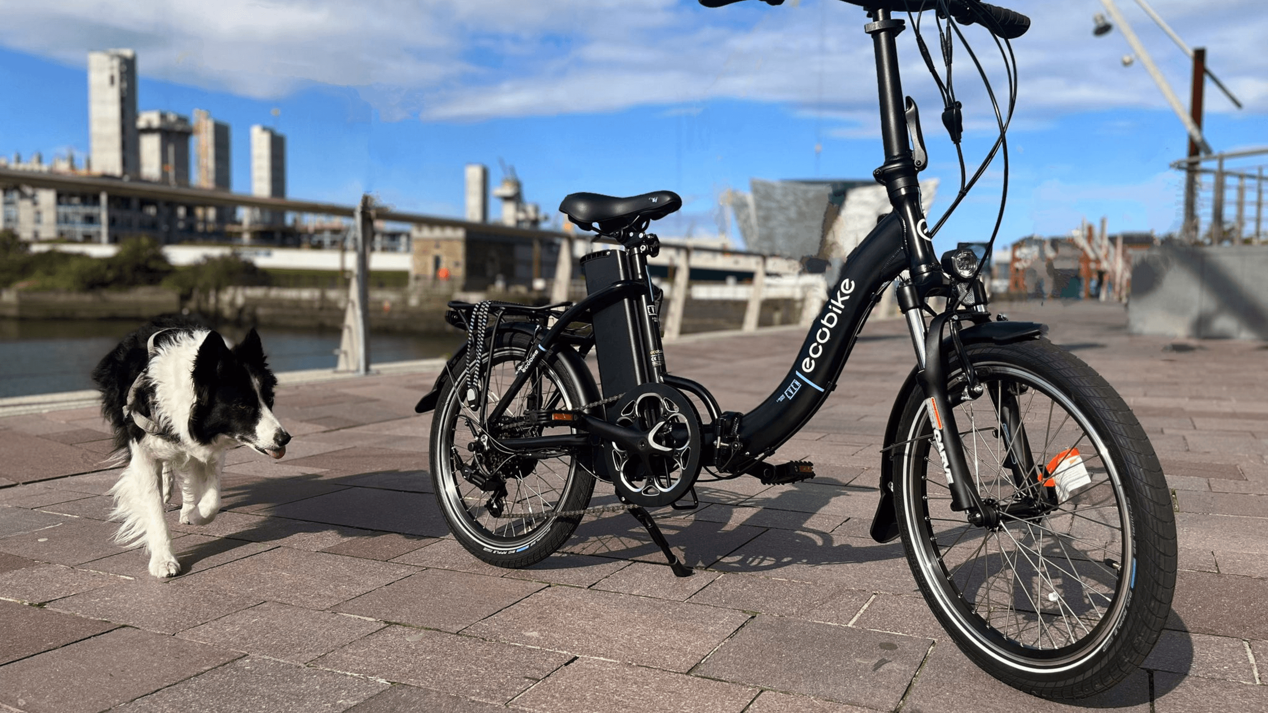 Electric folding bike parked on waterfront promenade with dog