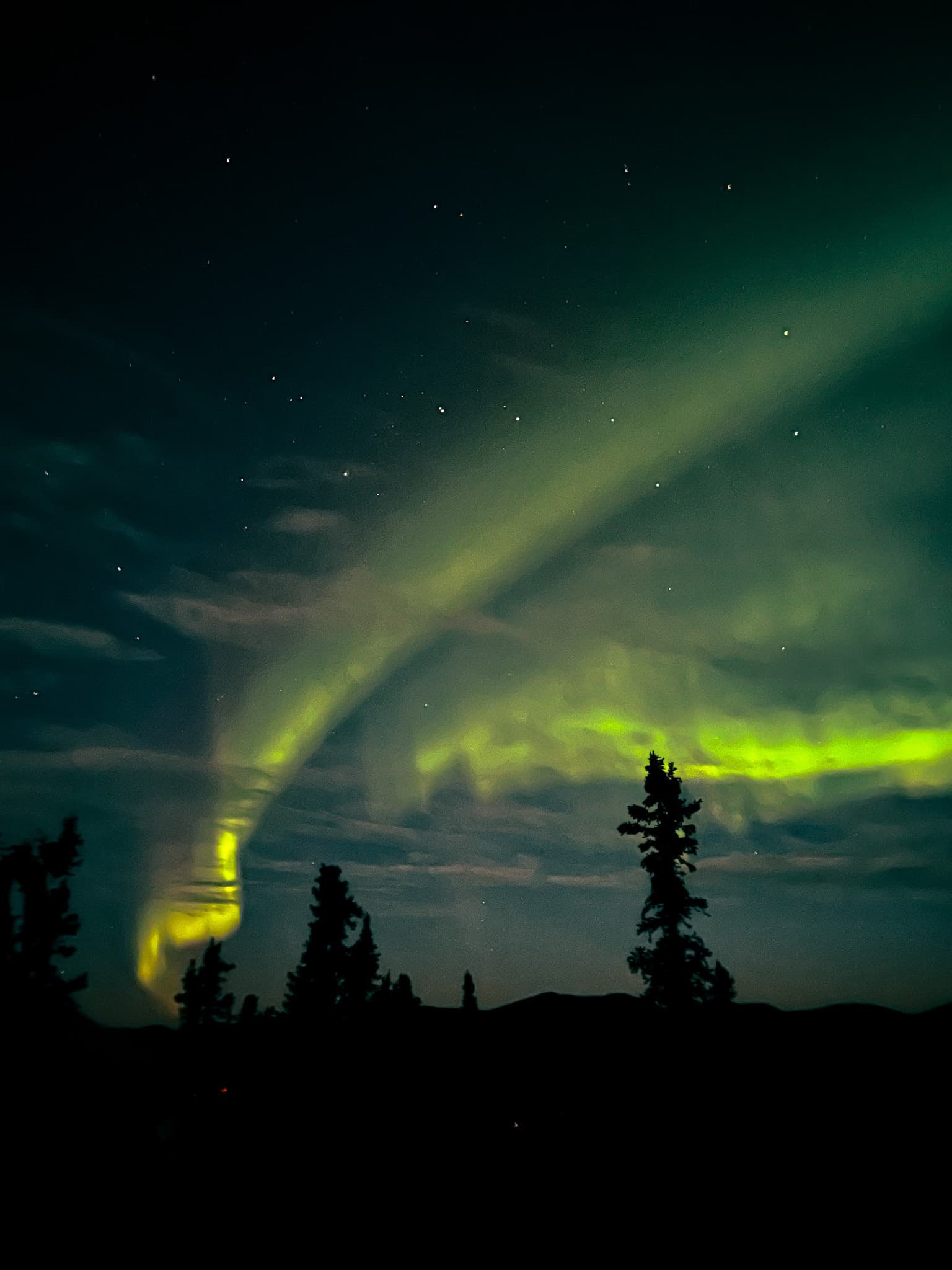 Aurora viewing over boreal forest at night, northern lights spectacle