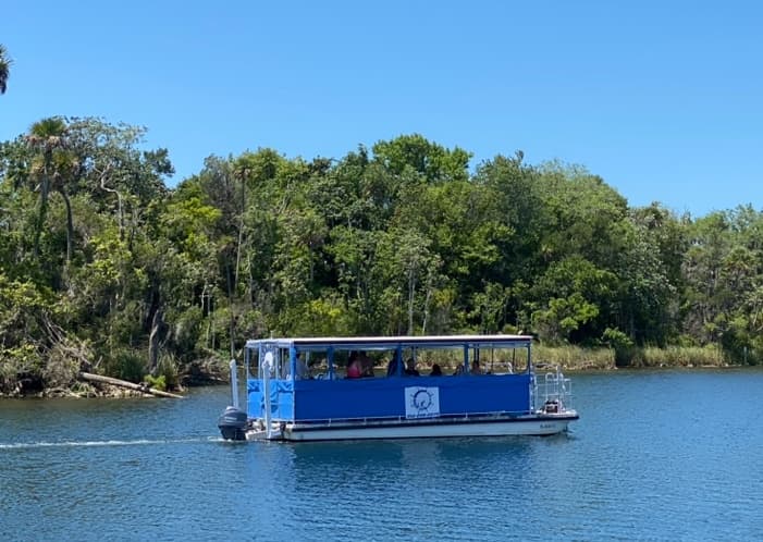 Scenic Crystal River boat tour on calm water with lush shoreline views
