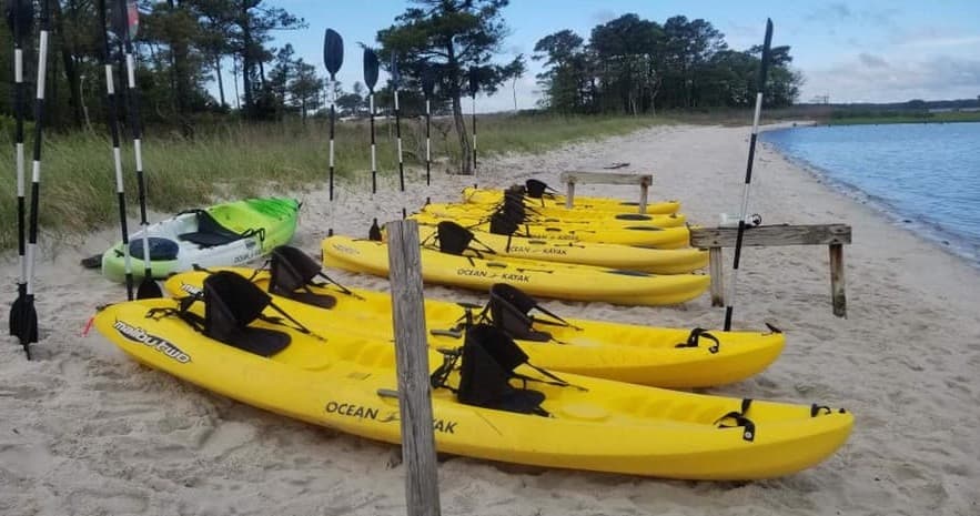 Water-Activities at EcoBay Kayaking Adventures